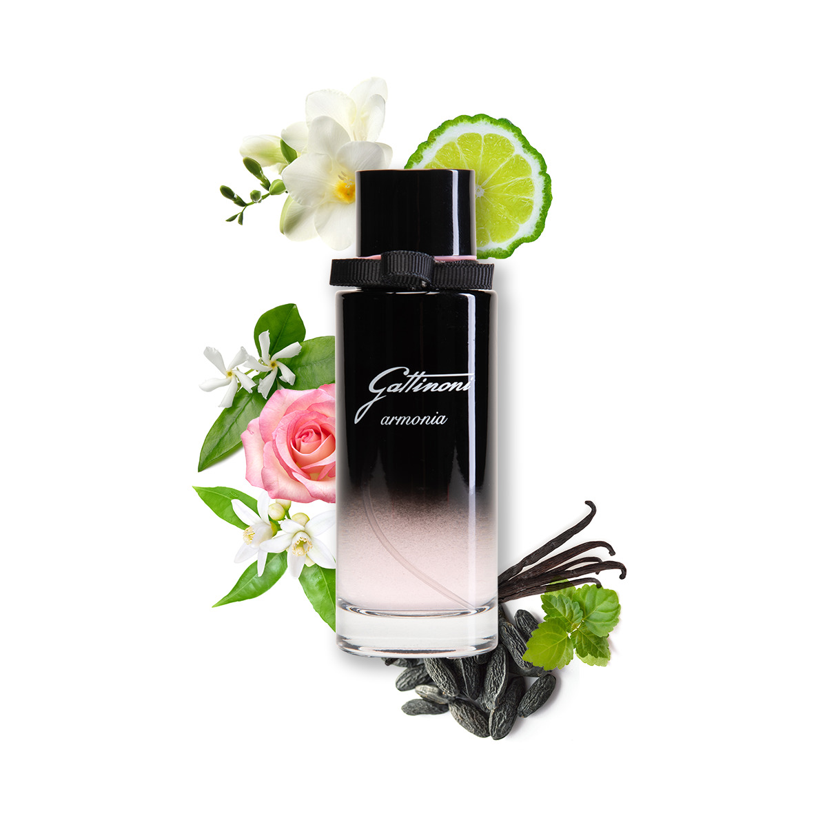 Armonia Eau de Toilette by Gattinoni